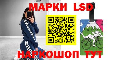 стаф Сланцы