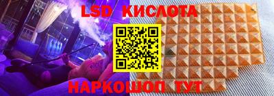стаф Сланцы