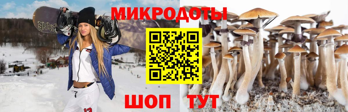 Галлюциногенные грибы мицелий  Вход с VPN  Орёл 